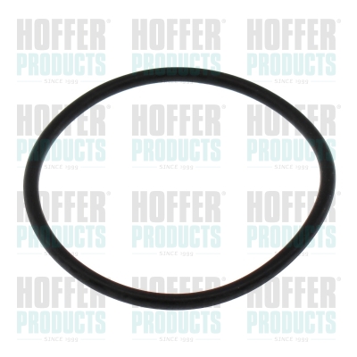 Seal, thermostat HOFFER 016112