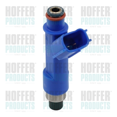 Injector HOFFER H75117021