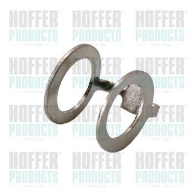 Seal Ring, injector HOFFER 98357