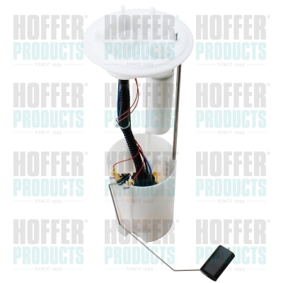 Fuel Feed Unit HOFFER 75071084