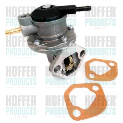 Fuel Pump HOFFER HPOC099