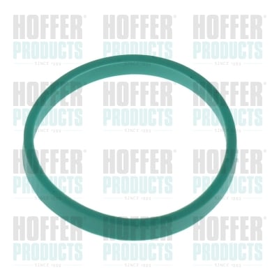 Gasket, intake manifold HOFFER 016166
