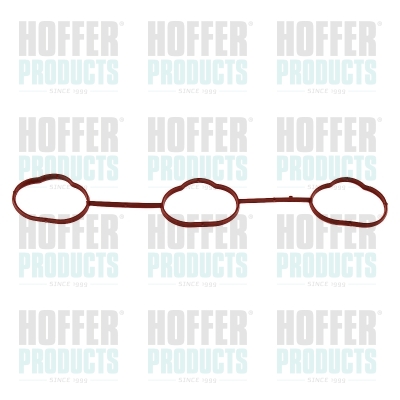Gasket, intake manifold HOFFER 016236