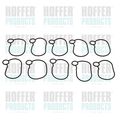 Seal Ring HOFFER 80298720