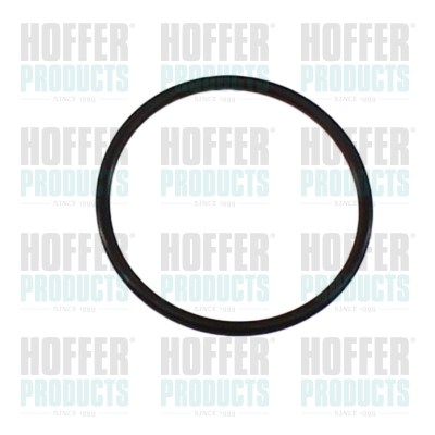 Seal Ring HOFFER 98811
