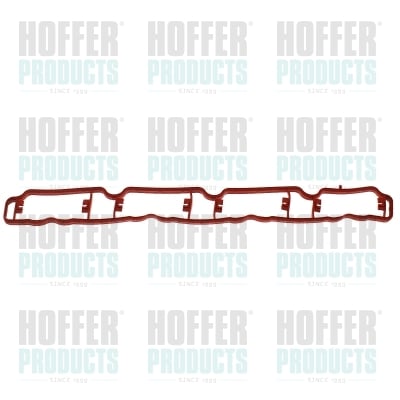 Gasket, intake manifold HOFFER 01643