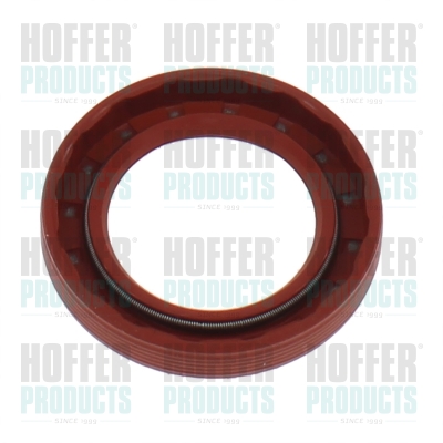 Simmering, dieselpumpe HOFFER 98870