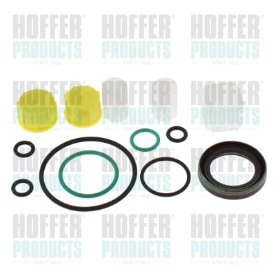 Repair Kit, common rail system HOFFER 98873