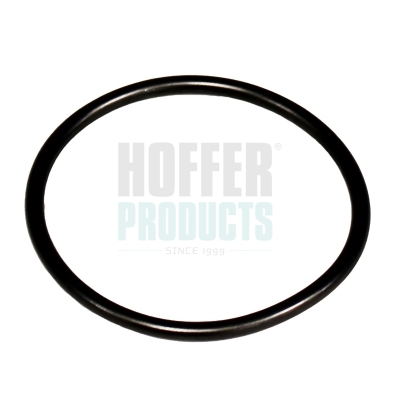 Gasket, fuel pump HOFFER 98904