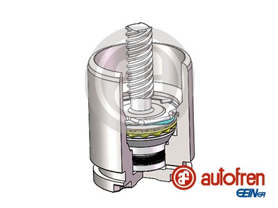 Piston, brake caliper AUTOFREN SEINSA D025816K