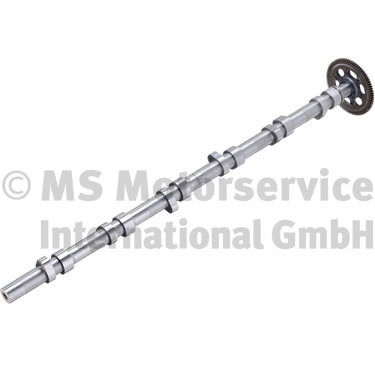 Camshaft BF 20100347106
