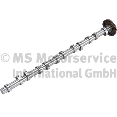 Camshaft BF 20100226760