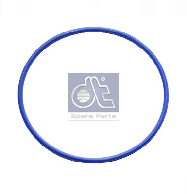 Seal Ring DT 1.24303