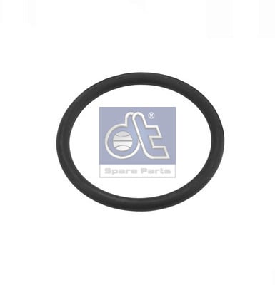 Seal Ring DT 6.22321