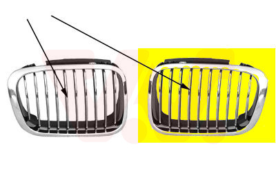 Radiator Grille VAN WEZEL 0646517
