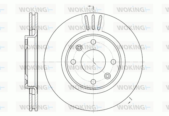 Brake Disc WOKING D6603.10