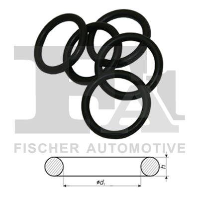 Seal Ring FA1 244.850.100