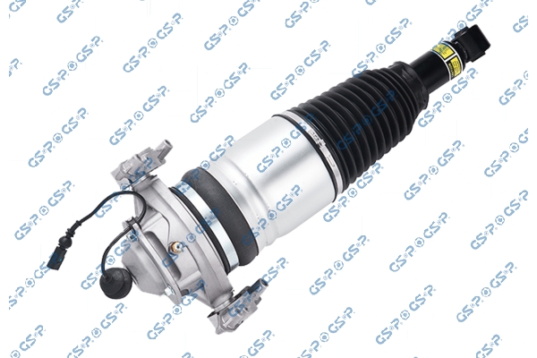 Air Suspension Strut GSP 30900251