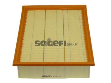 Air Filter PURFLUX A1075