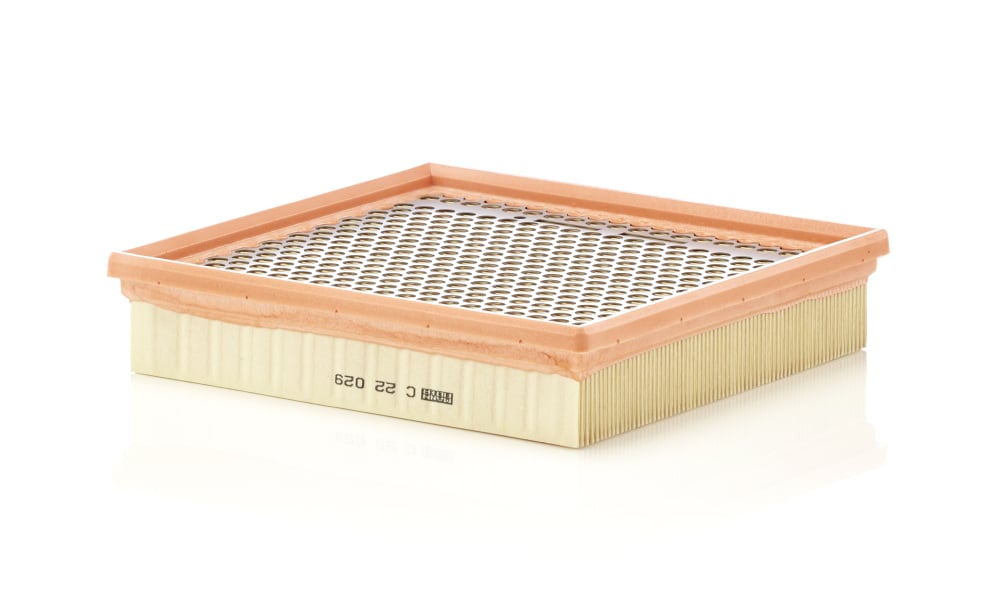 Air Filter MANN-FILTER C 22 029