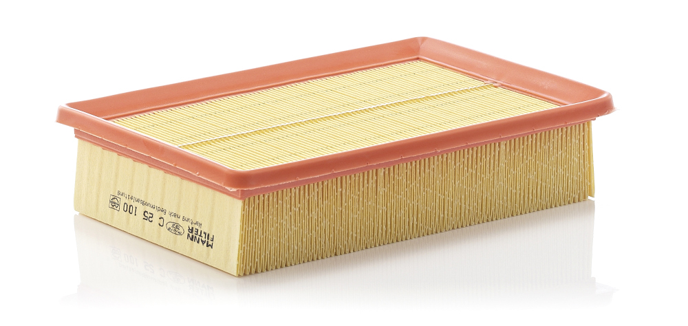 Air Filter MANN-FILTER C 25 100