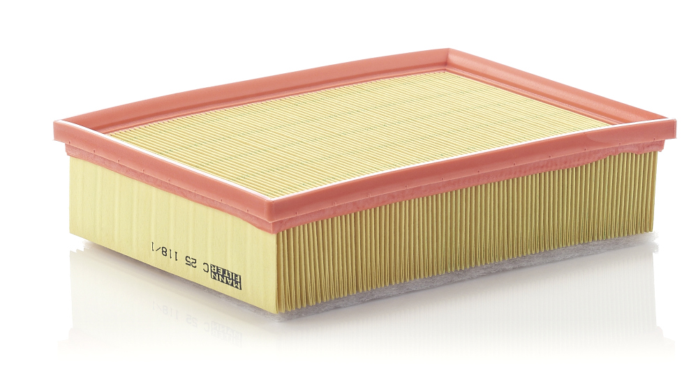 Air Filter MANN-FILTER C 25 118/1