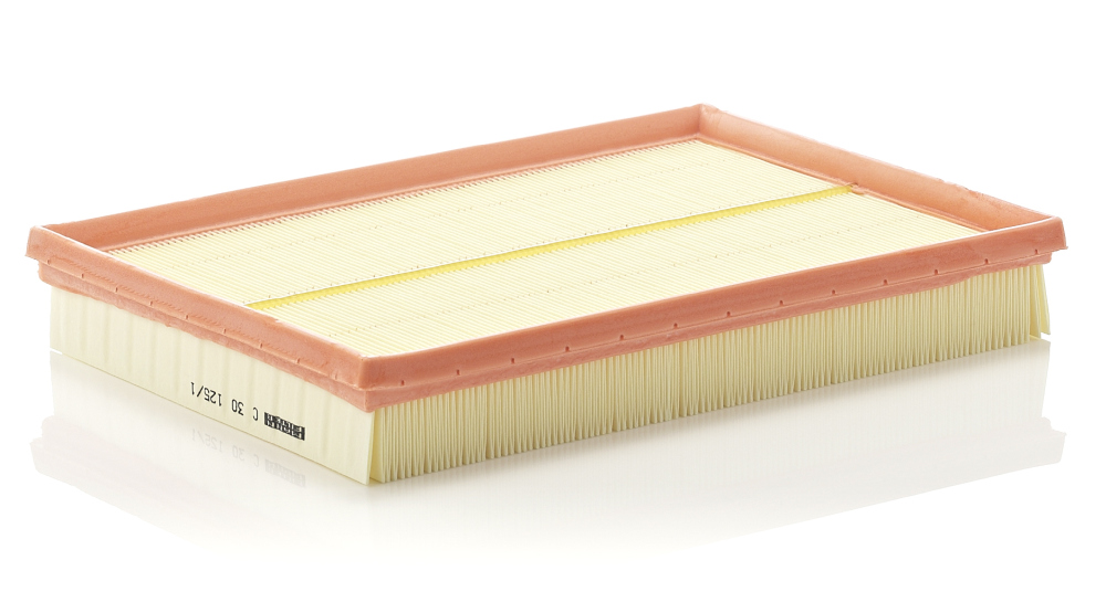 Air Filter MANN-FILTER C 30 125/1