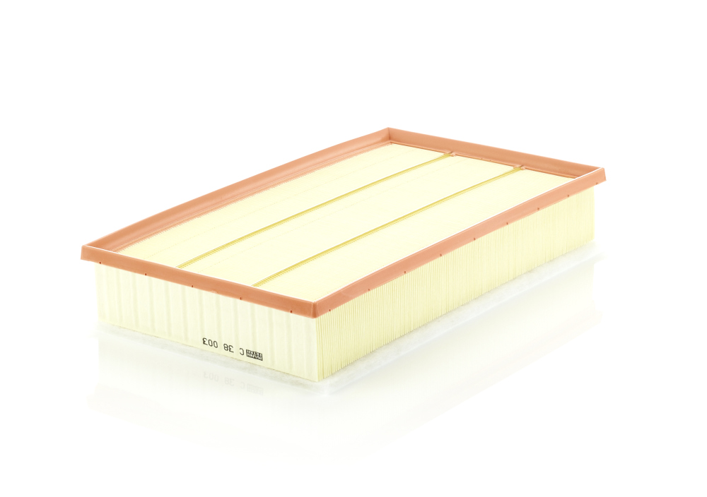 Air Filter MANN-FILTER C 38 003