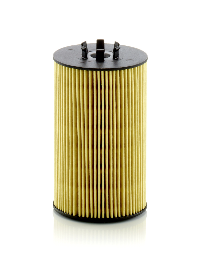 Oil Filter MANN-FILTER HU 8012 z