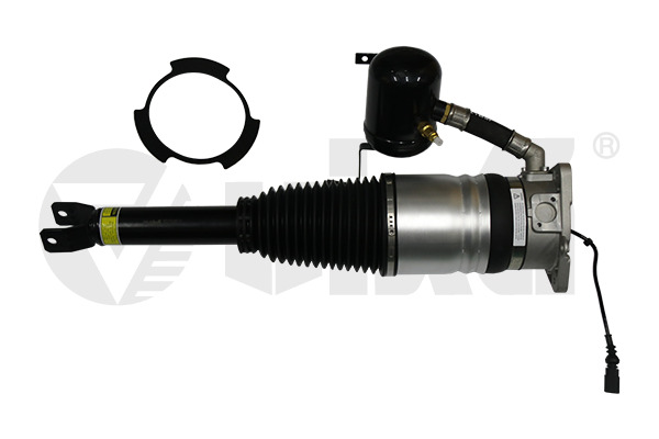 Air Suspension Strut VIKA 46160000301