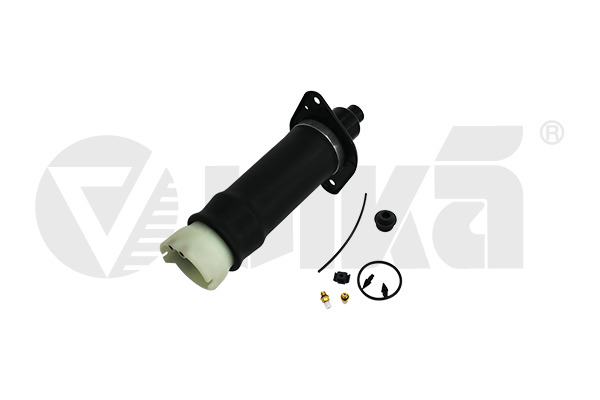 Air Suspension Strut VIKA 66160001501