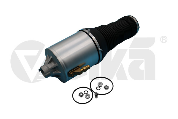 Air Suspension Strut VIKA 66160001701