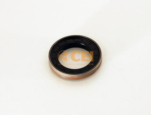 Shaft Seal, differential C.E.I. 139.627
