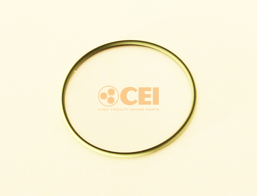 Seal Ring C.E.I. 139.856