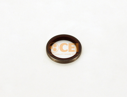 Shaft Seal, differential C.E.I. 139.928