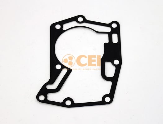 Oil Seal, manual transmission C.E.I. 239.153