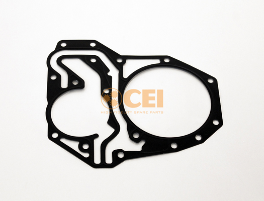 Oil Seal, manual transmission C.E.I. 239.162