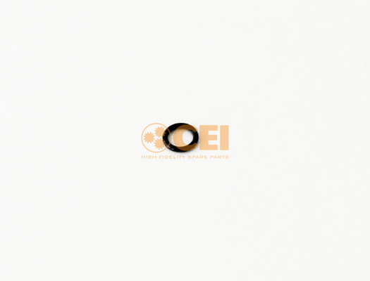 Seal Ring C.E.I. 239.206