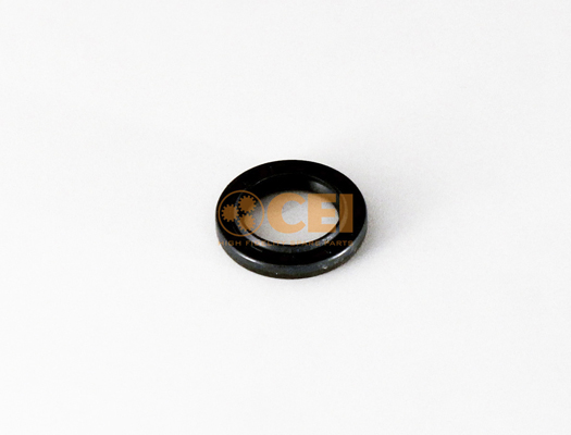 Shaft Seal, manual transmission C.E.I. 239.344