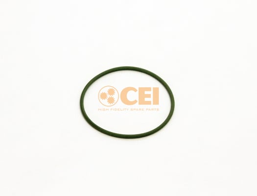 Seal Ring C.E.I. 239.367
