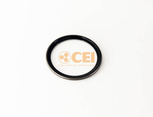 Seal Ring C.E.I. 269.377