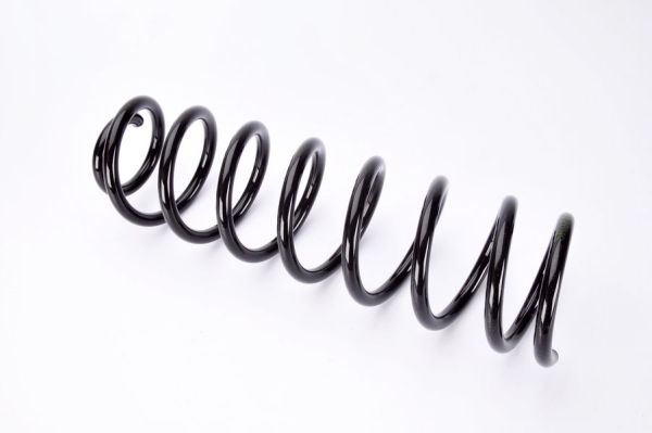 Coil Spring Magnum Technology SR074MT