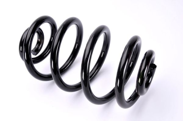 Coil Spring Magnum Technology SX105MT