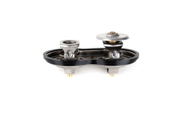 Thermostat, coolant THERMOTEC D2SC002TT