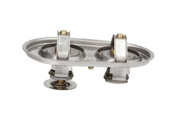 Thermostat, coolant THERMOTEC D2SC009TT