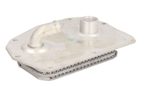 Oil Cooler, engine oil THERMOTEC D4M005TT
