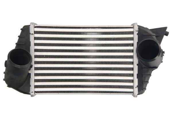 Intercooler, charger THERMOTEC DAF009TT