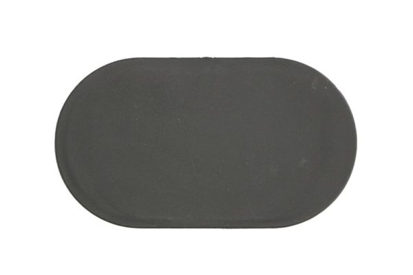 Ventilation Grille, bumper BLIC 5504-00-0097939PP