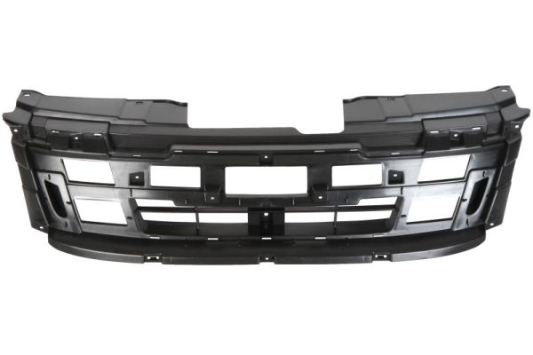 Radiator Grille BLIC 5601-00-3053995P