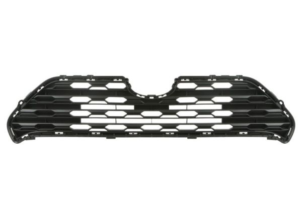 Radiator Grille BLIC 5601-00-8186990P